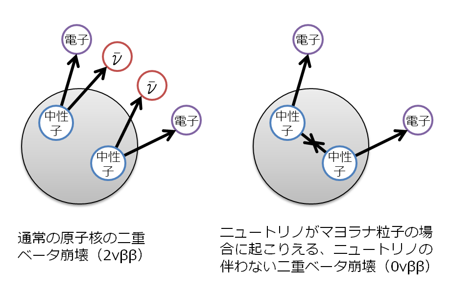 粒子 マヨラナ